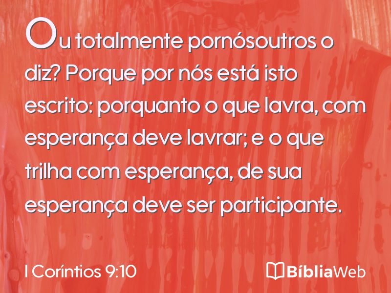 I Coríntios 9:10 em imagem para compartilhar