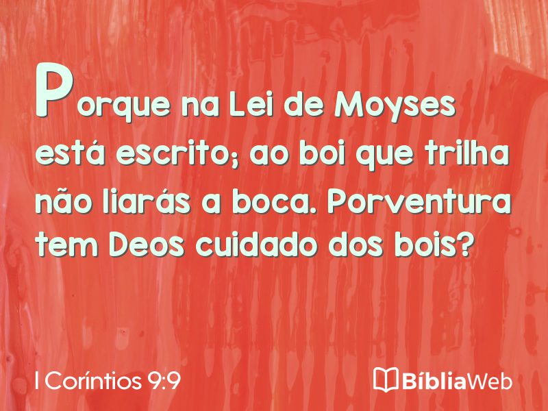 I Coríntios 9:9 em imagem para compartilhar