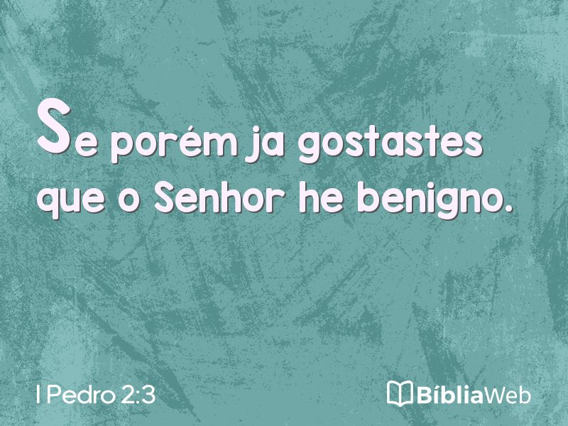 I Pedro 2:3 em imagem para compartilhar