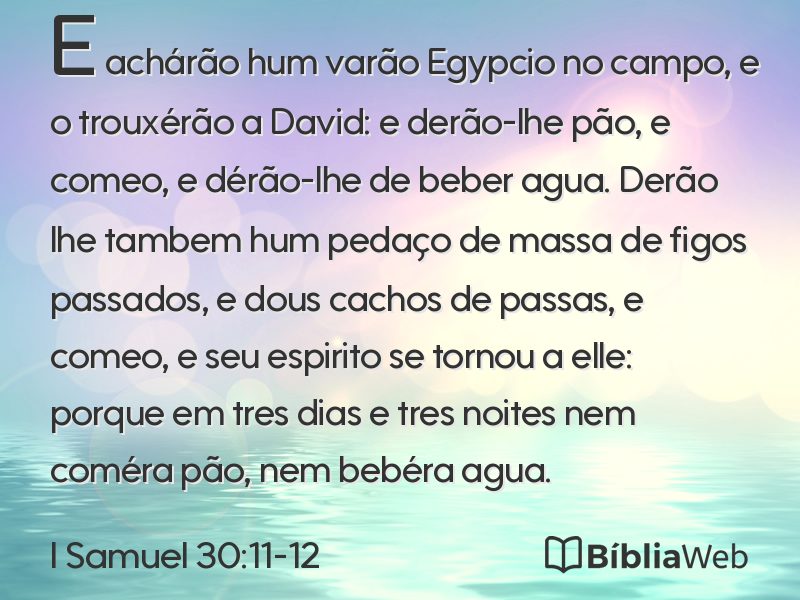 I Samuel 30:11-12 em imagem para compartilhar