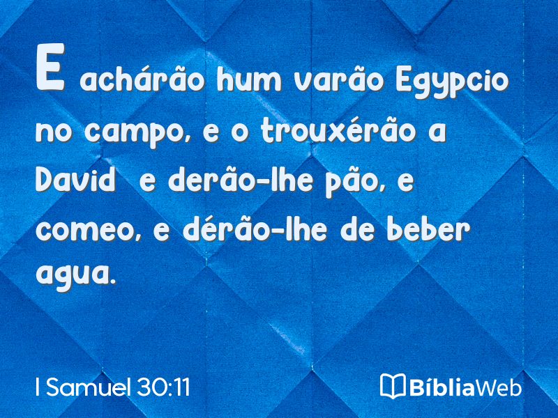 I Samuel 30:11 em imagem para compartilhar