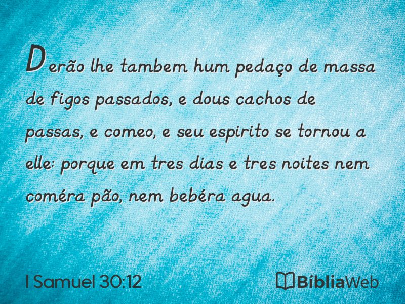 I Samuel 30:12 em imagem para compartilhar