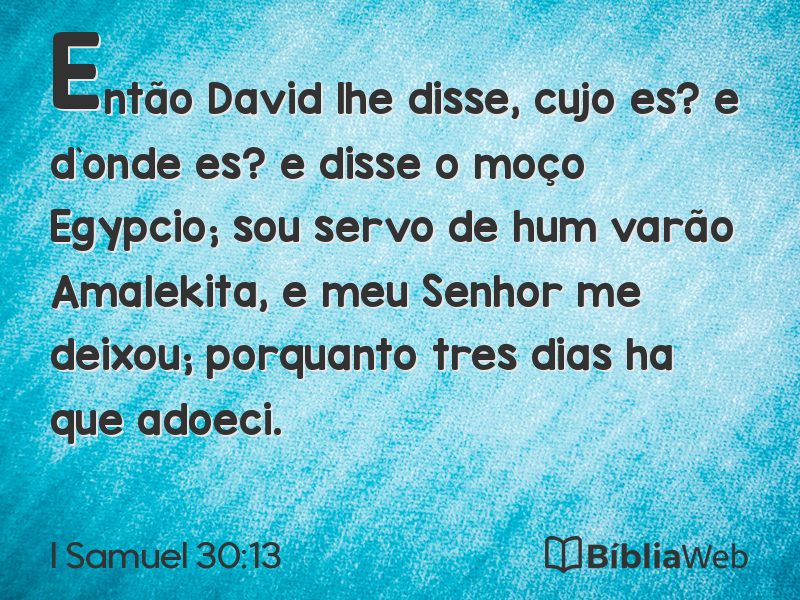 I Samuel 30:13 em imagem para compartilhar