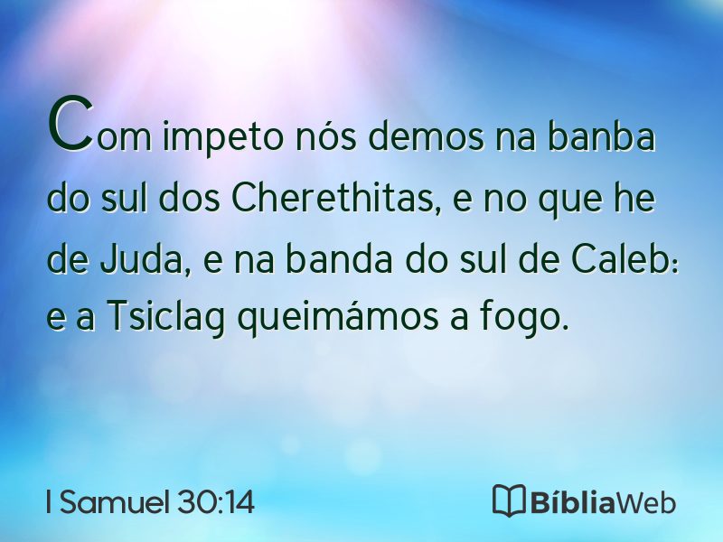 I Samuel 30:14 em imagem para compartilhar