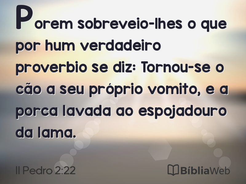 II Pedro 2:22 em imagem para compartilhar