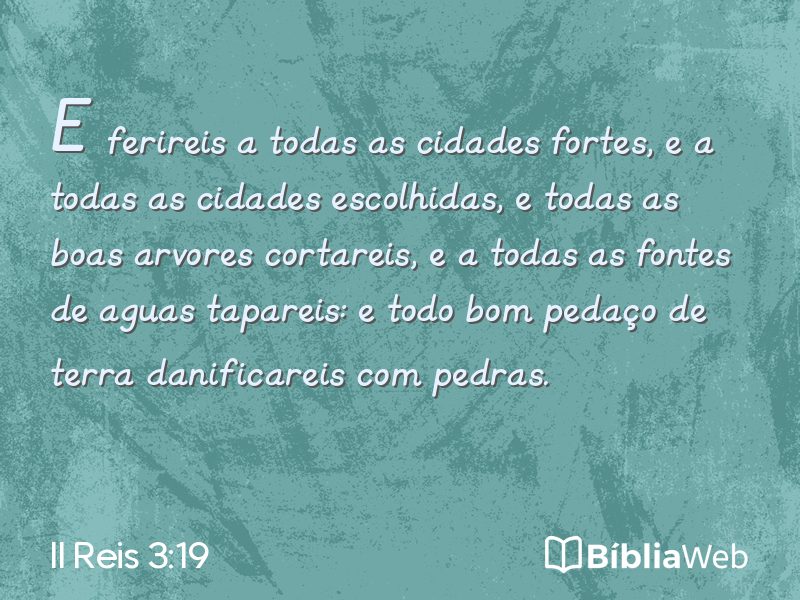II Reis 3:19 em imagem para compartilhar