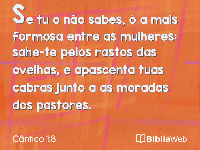 Cântico 1:8 em imagem para compartilhar