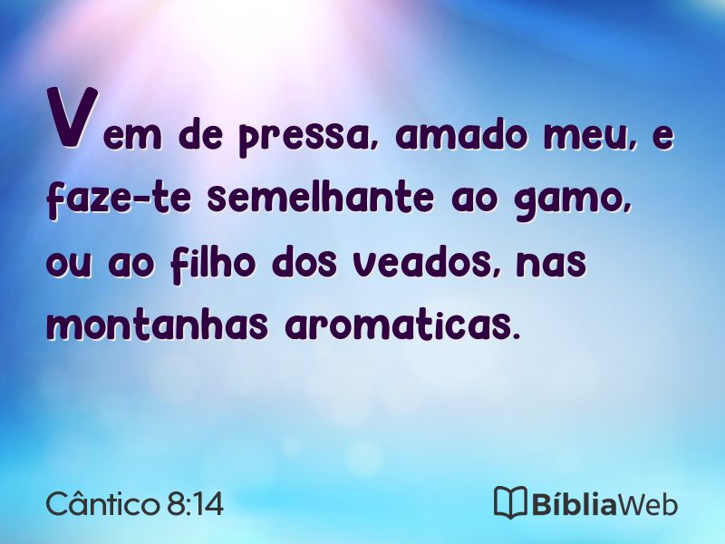 Cântico 8:14 em imagem para compartilhar