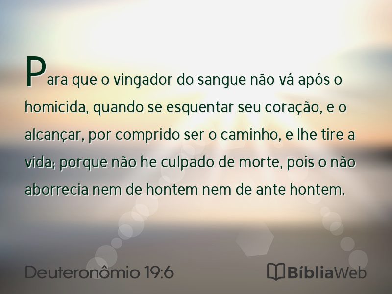 Deuteronômio 19:6 em imagem para compartilhar