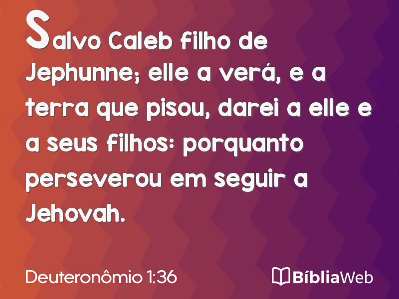 Deuteronômio 1:36 em imagem para compartilhar