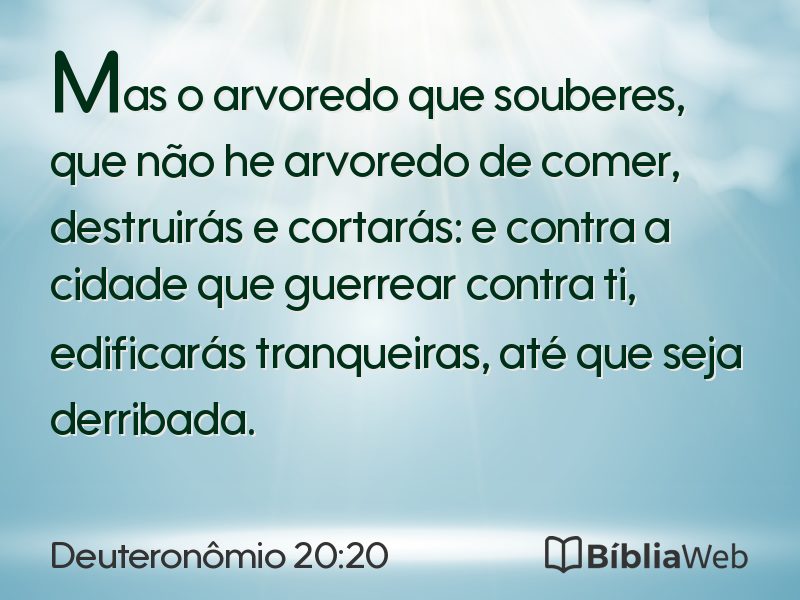 Deuteronômio 20:20 em imagem para compartilhar