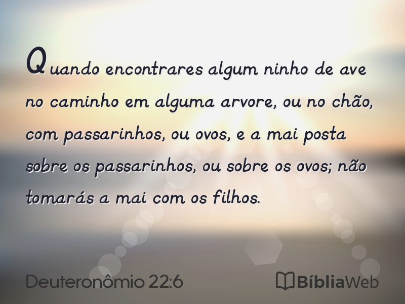 Deuteronômio 22:6 em imagem para compartilhar