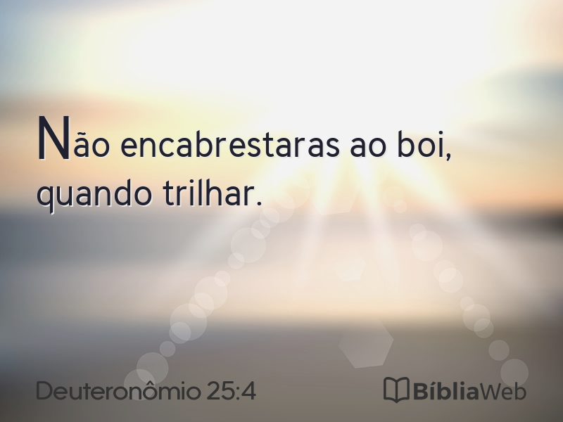 Deuteronômio 25:4 em imagem para compartilhar
