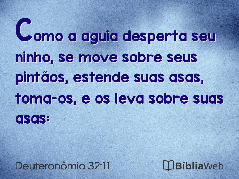 Deuteronômio 32:11 em imagem para compartilhar