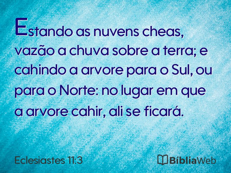 Eclesiastes 11:3 em imagem para compartilhar