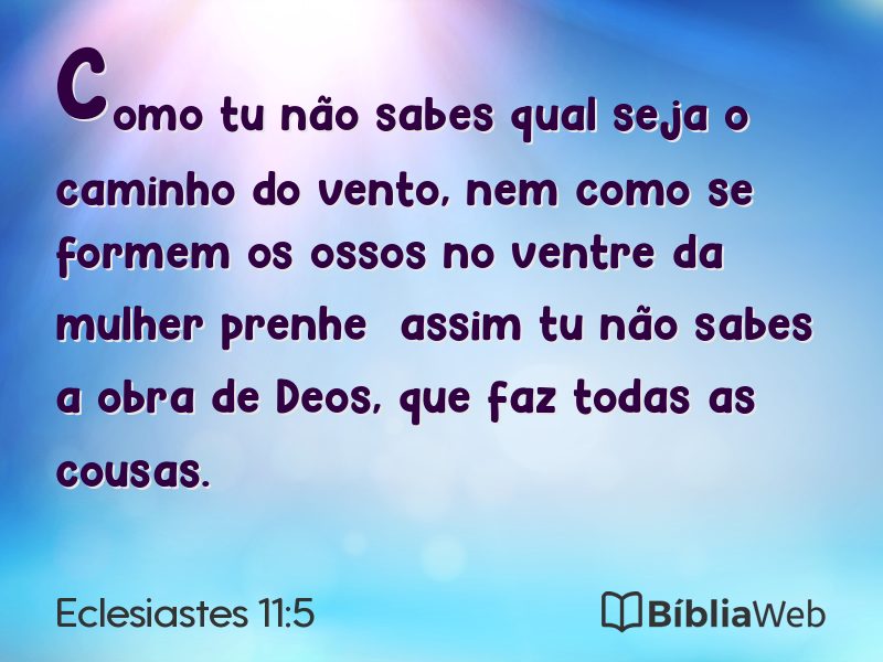 Eclesiastes 11:5 em imagem para compartilhar