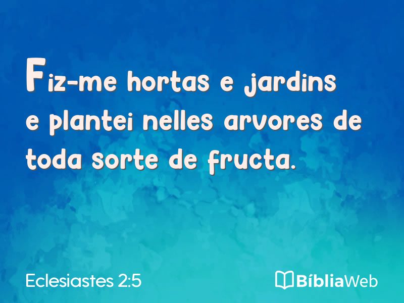 Eclesiastes 2:5 em imagem para compartilhar