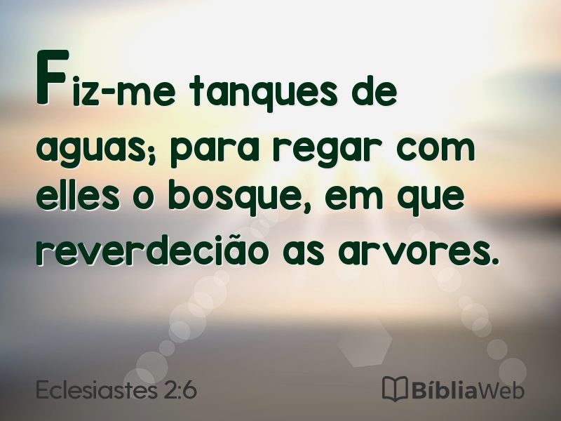 Eclesiastes 2:6 em imagem para compartilhar