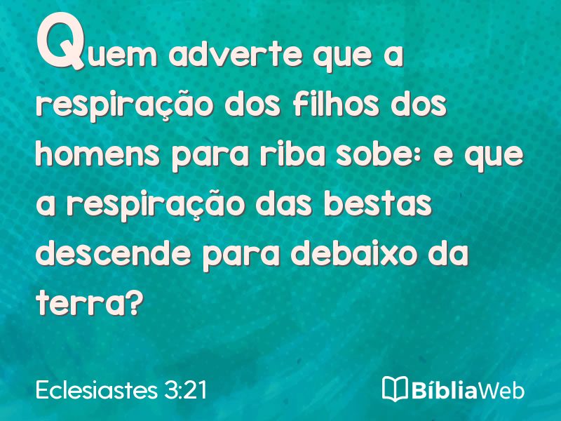 Eclesiastes 3:21 em imagem para compartilhar