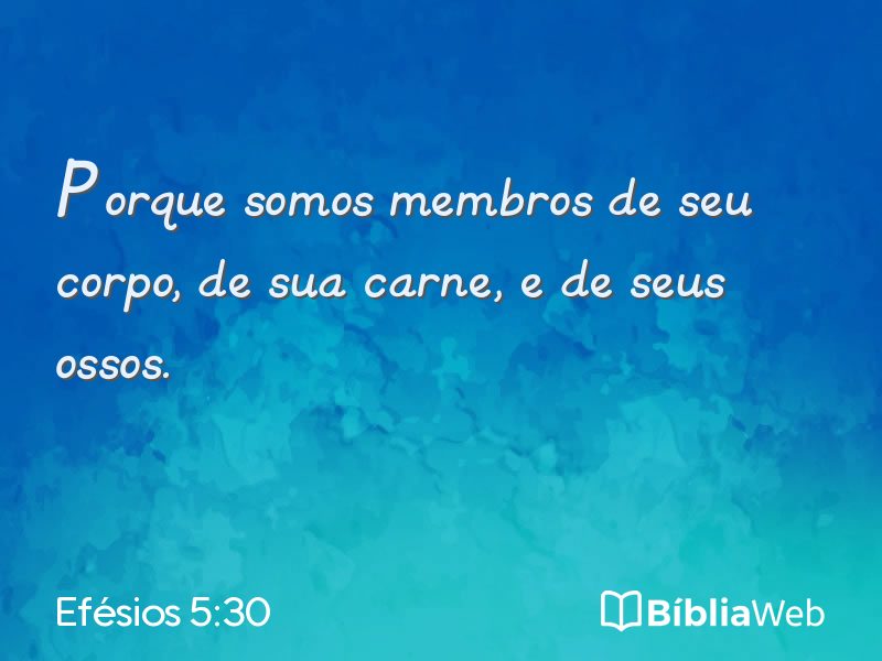 Efésios 5:30 em imagem para compartilhar