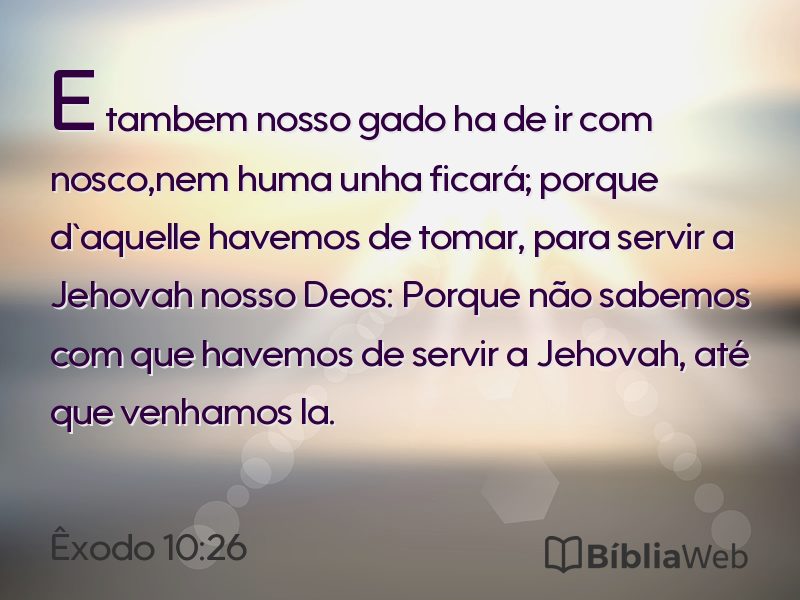 Êxodo 10:26 em imagem para compartilhar