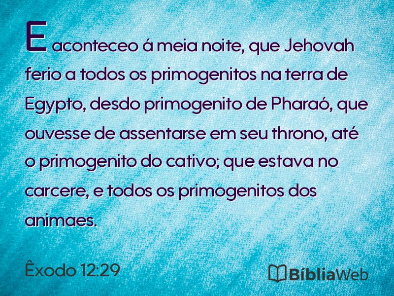 Êxodo 12:29 em imagem para compartilhar
