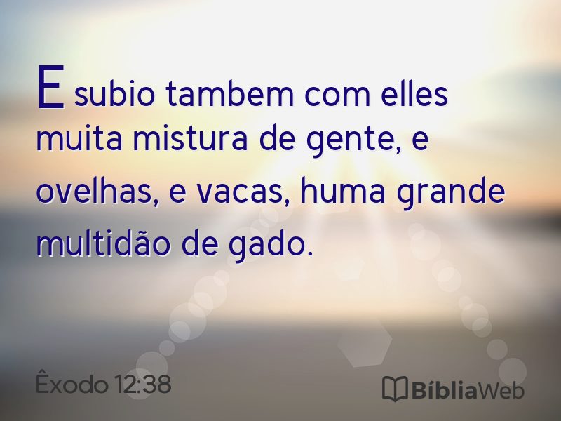 Êxodo 12:38 em imagem para compartilhar