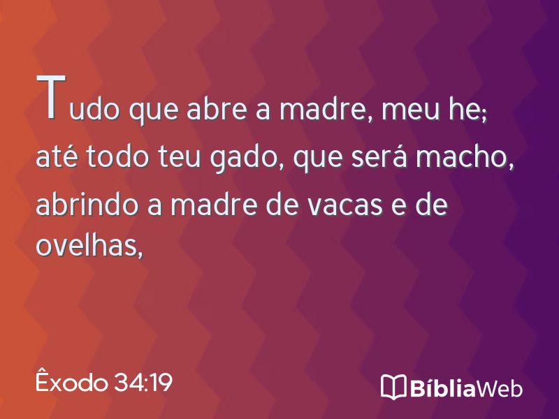 Êxodo 34:19 em imagem para compartilhar