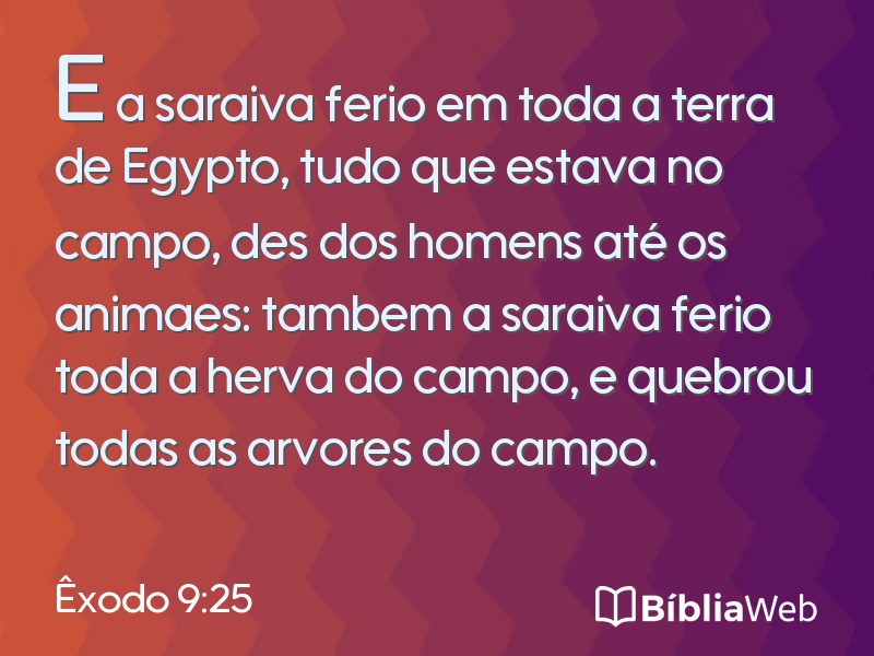 Êxodo 9:25 em imagem para compartilhar
