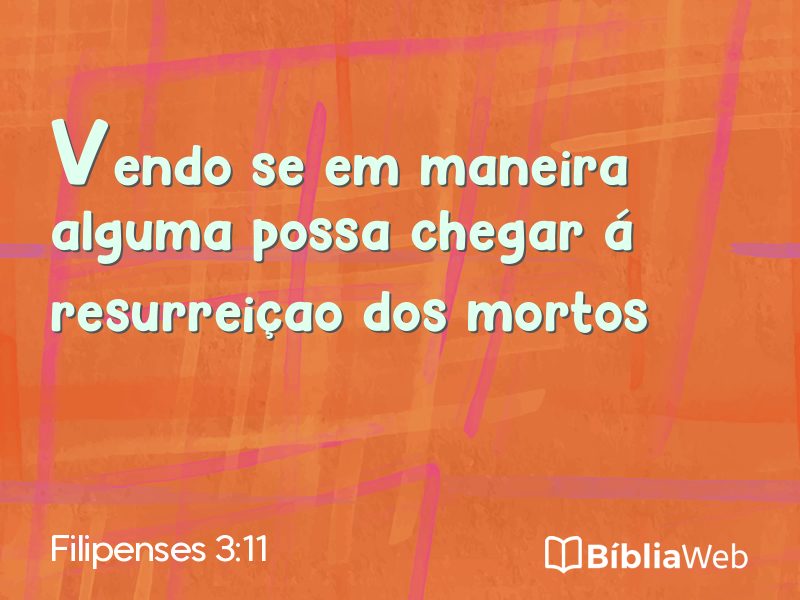 Filipenses 3:11 em imagem para compartilhar