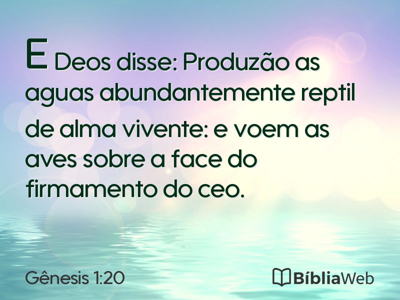 Gênesis 1:20 em imagem para compartilhar