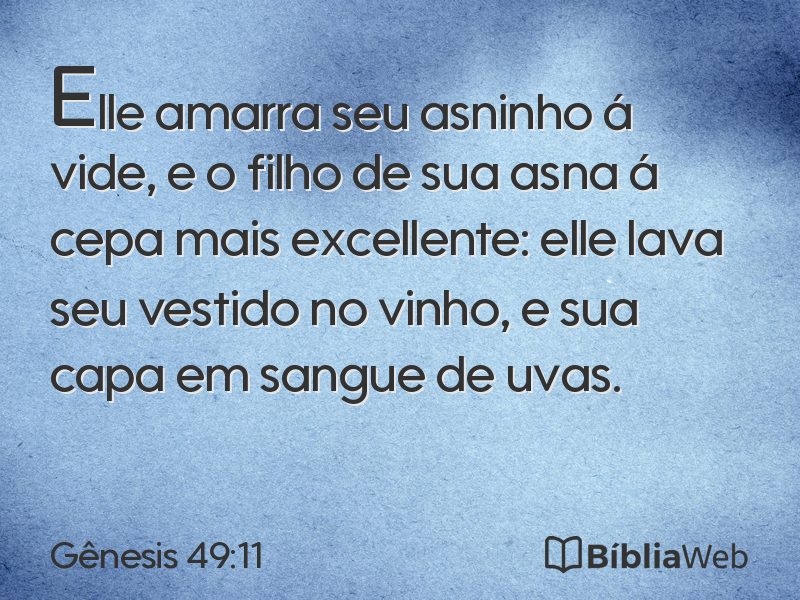 Gênesis 49:11 em imagem para compartilhar