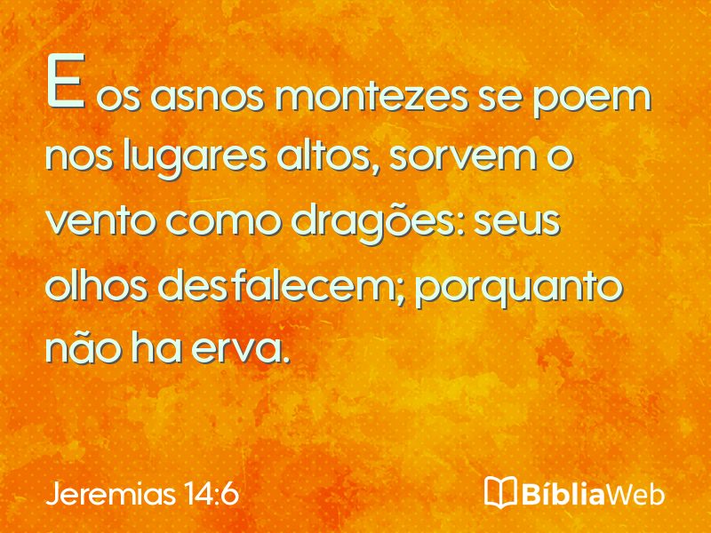 Jeremias 14:6 em imagem para compartilhar