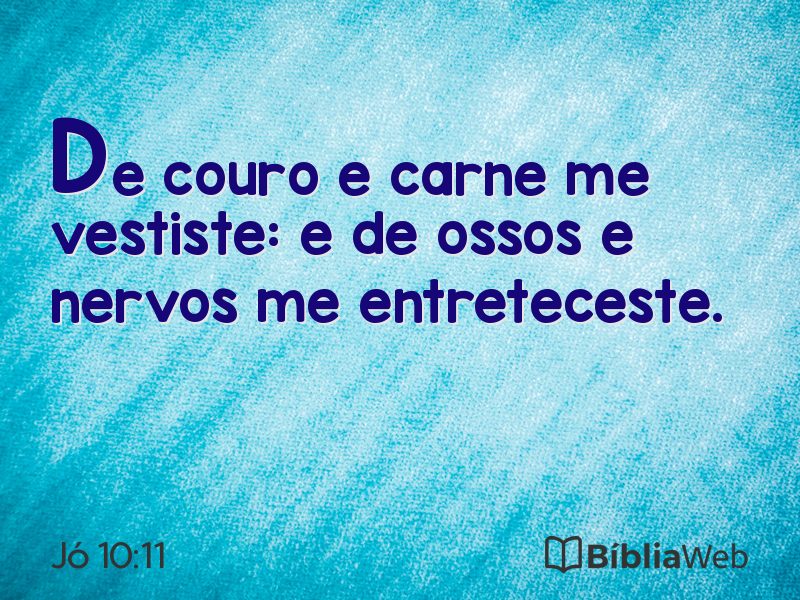 Jó 10:11 em imagem para compartilhar