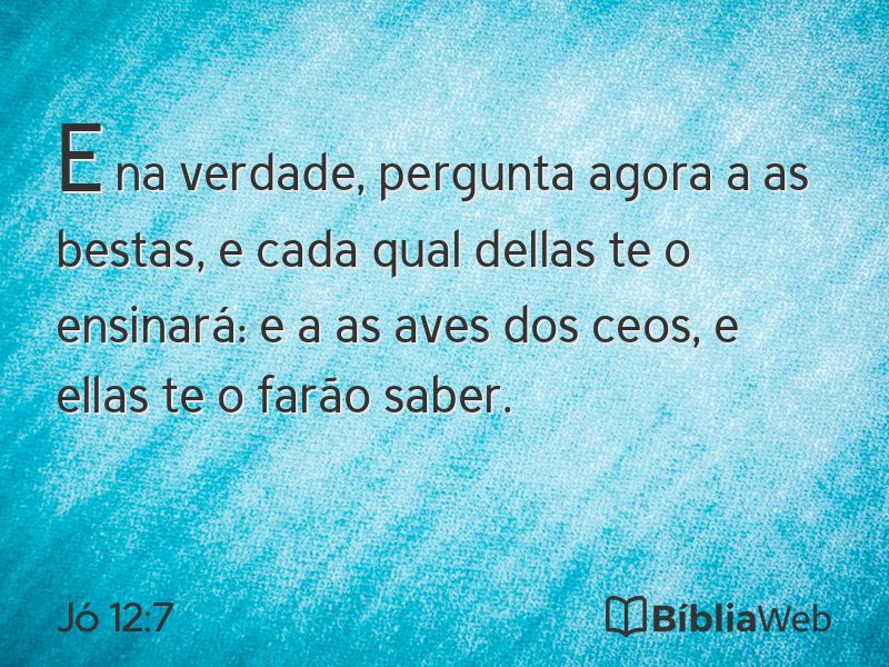 Jó 12:7 em imagem para compartilhar