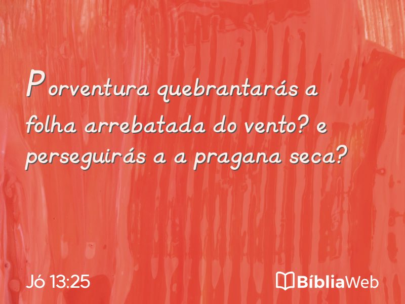 Jó 13:25 em imagem para compartilhar