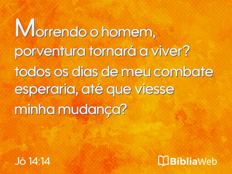 Jó 14:14 em imagem para compartilhar