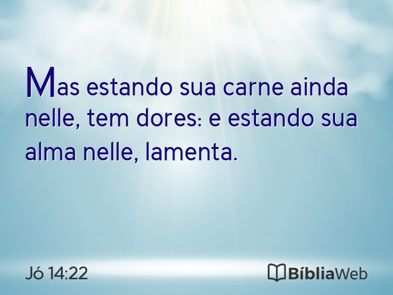 Jó 14:22 em imagem para compartilhar