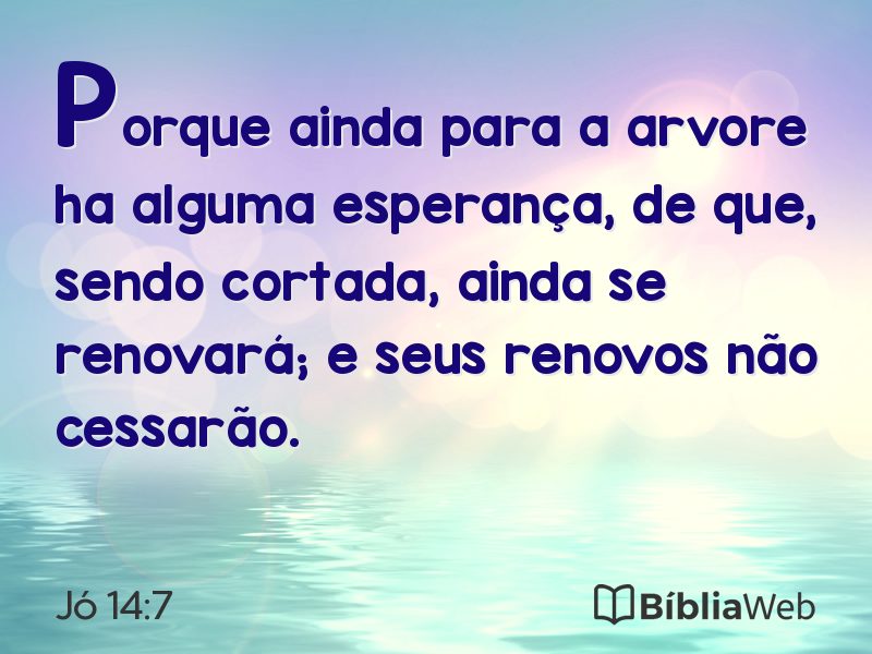 Jó 14:7 em imagem para compartilhar