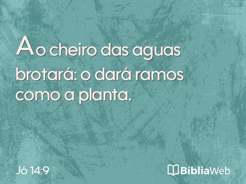 Jó 14:9 em imagem para compartilhar