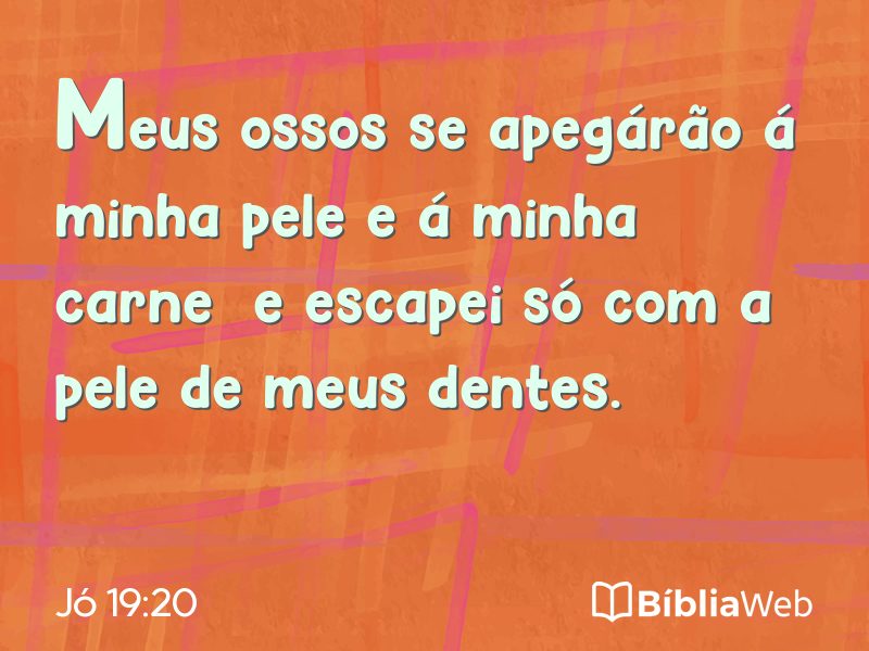 Jó 19:20 em imagem para compartilhar