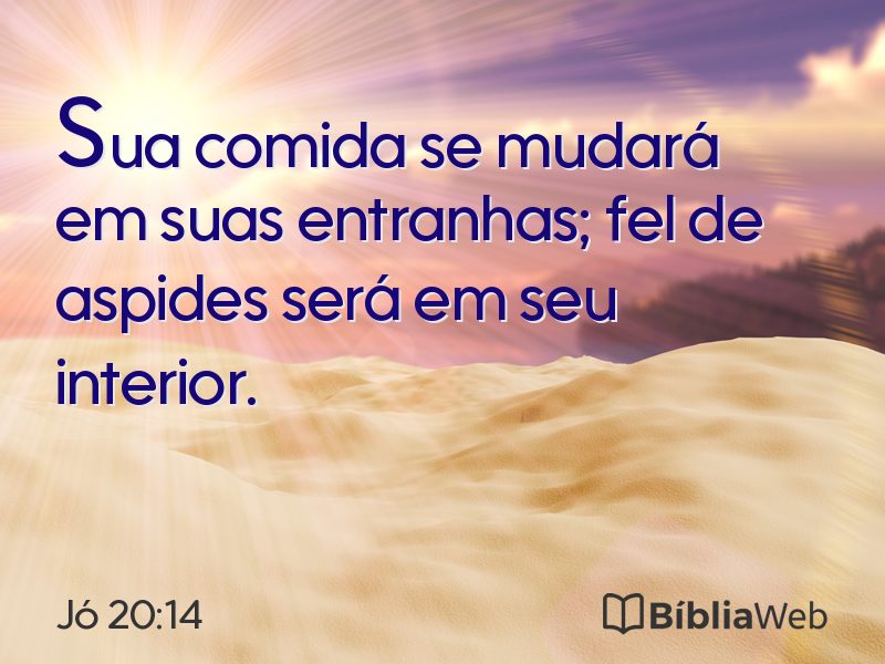 Jó 20:14 em imagem para compartilhar