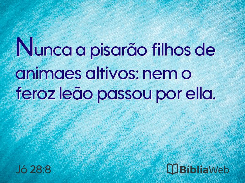 Jó 28:8 em imagem para compartilhar