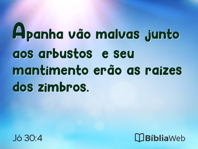 Jó 30:4 em imagem para compartilhar