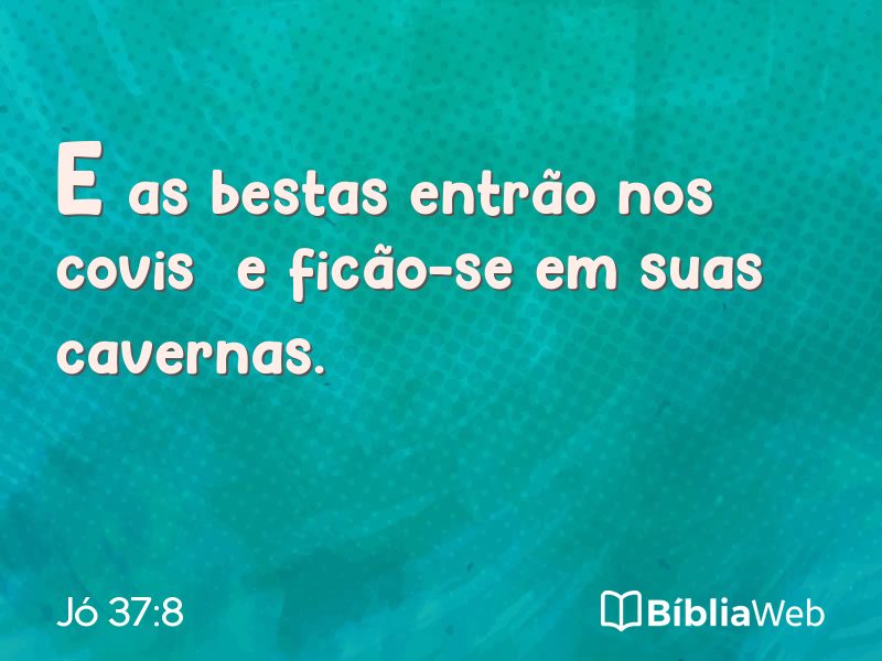 Jó 37:8 em imagem para compartilhar