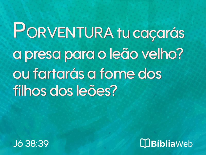 Jó 38:39 em imagem para compartilhar