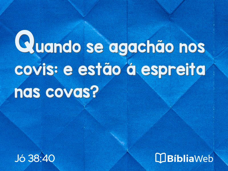 Jó 38:40 em imagem para compartilhar