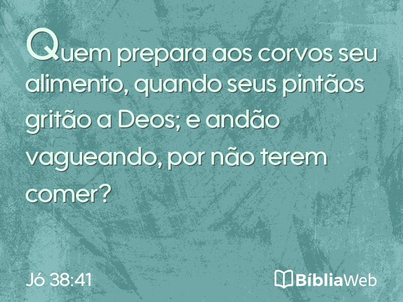 Jó 38:41 em imagem para compartilhar