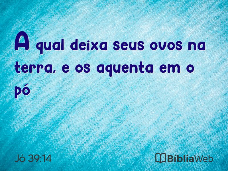 Jó 39:14 em imagem para compartilhar