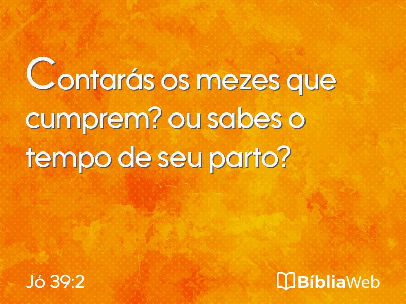 Jó 39:2 em imagem para compartilhar